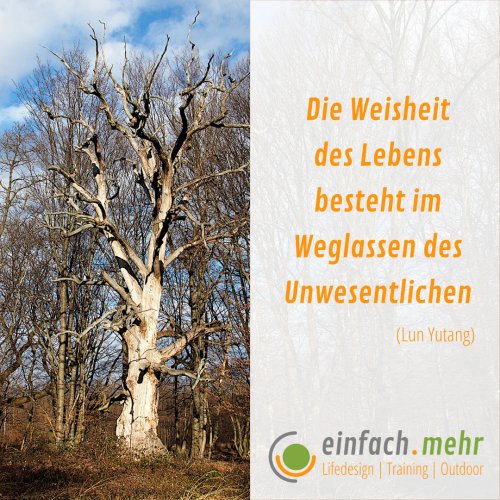 Die Weisheit des Lebens besteht im Weglassen des Unwesentlichen