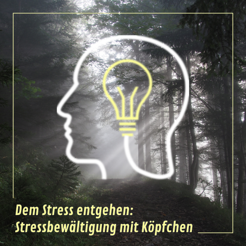 Dem Stress entgehen: Stressbewältigung mit Köpfchen