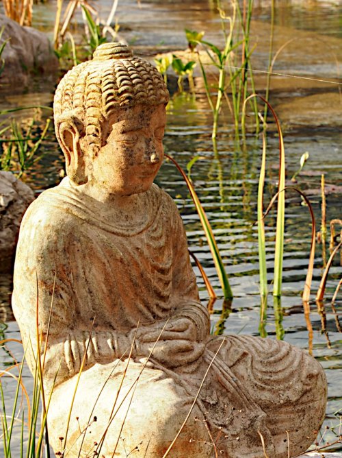Experience Day - Waldbaden - Shinrin Yoku