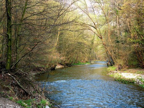 Schechat / Helenental bei Baden / Niederösterreich