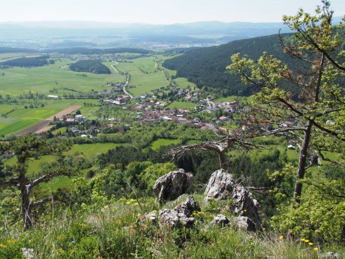 Flatz / Niederösterreich