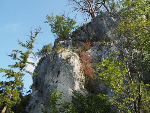Falkenstein / Schwarzau / Niederösterreich