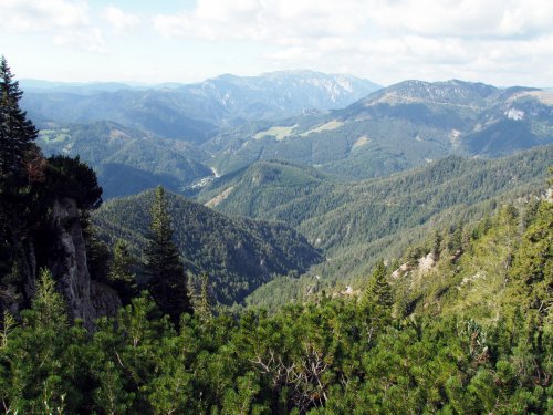 Im oberen Karlgraben / Schneealpe / Steiermark