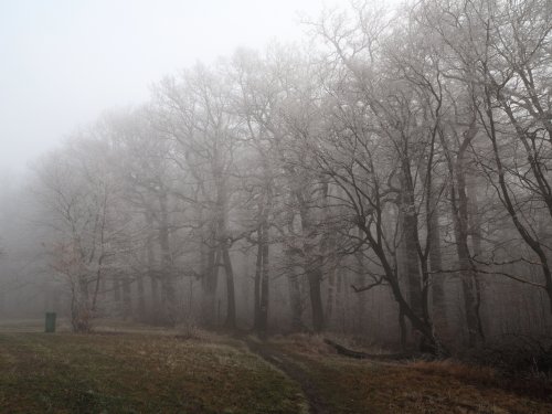Herbstnebel