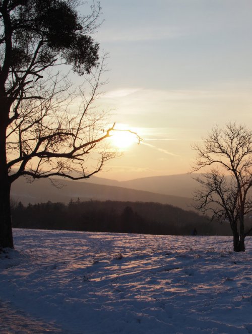 Sonnenuntergang im winterlichen Wienerwald
