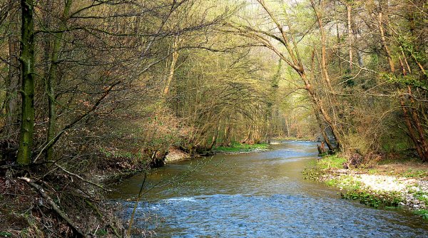 Helenental - Von Baden durchs Helenental zur Cholerakapelle und retour Helenental - Von Baden durchs Helenental zur Cholerakapelle und retour