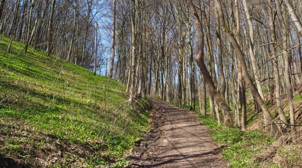 Walk & Talk - Walk & Talk sind geführte Spaziergänge oder Wanderungen in der Natur in Kombination mit Einzel- oder Gruppengesprächen zur Stressbewältigung Walk & Talk - Walk & Talk sind geführte Spaziergänge oder Wanderungen in der Natur in Kombination mit Einzel- oder Gruppengesprächen zur Stressbewältigung