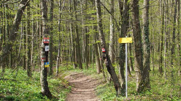 Alleine Wandern - Du möchtest allein in die Natur oder auf Berge, traust dich aber nicht? Dieser Kurs vermittelt das erforderliche Basiswissen und gibt … Alleine Wandern - Du möchtest allein in die Natur oder auf Berge, traust dich aber nicht? Dieser Kurs vermittelt das erforderliche Basiswissen und gibt …