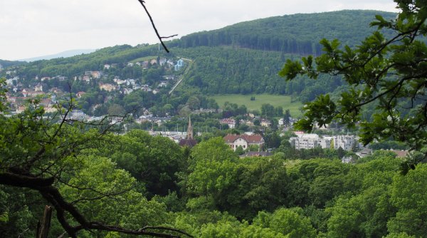 Halbtags-Wanderungen - Wandern in der Umgebung von Wien Halbtags-Wanderungen - Wandern in der Umgebung von Wien