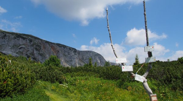Tageswanderungen - Wandern in den Gutensteiner Alpen, den Wiener Hausbergen, Schneealpe und Ybbstaler Alpen Tageswanderungen - Wandern in den Gutensteiner Alpen, den Wiener Hausbergen, Schneealpe und Ybbstaler Alpen