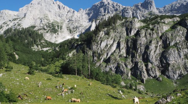 Mehrtages-Wanderungen - Mehrere Tage zu wandern hat einen speziellen Reiz Mehrtages-Wanderungen - Mehrere Tage zu wandern hat einen speziellen Reiz