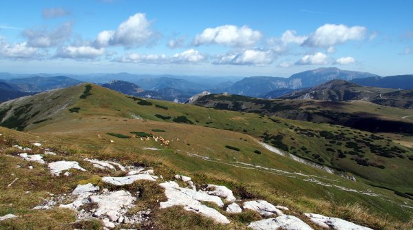 Karlgraben und Farfel - Anspruchsvolle Rundwanderung von Neuberg durch den Karlgraben auf die Schneealpe und über die Farfel hinunter Karlgraben und Farfel - Anspruchsvolle Rundwanderung von Neuberg durch den Karlgraben auf die Schneealpe und über die Farfel hinunter