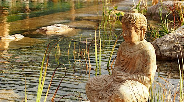 Experience Day - Die Natur mit allen Sinnen wahrnehmen, Waldbaden, Ruhe finden und ganz zu dir selbst zu kommen Experience Day - Die Natur mit allen Sinnen wahrnehmen, Waldbaden, Ruhe finden und ganz zu dir selbst zu kommen