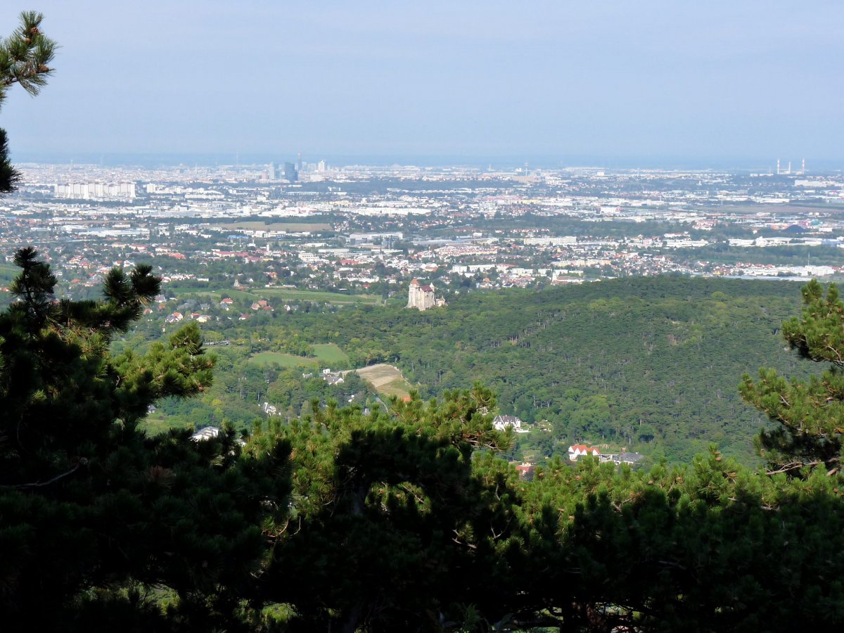 Blick auf Wien / Mödling / Niederösterreich