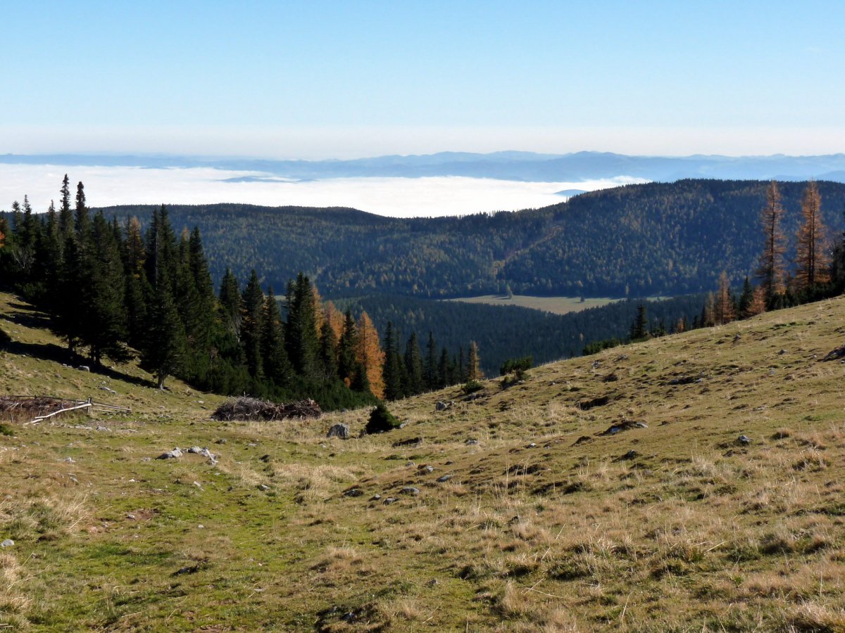 Alpl / Krummbachstein / Niederösterreich
