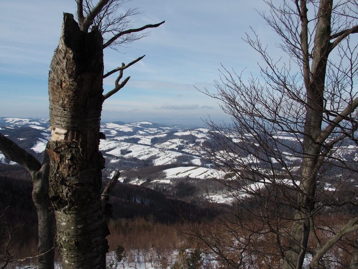 Blick ins Alpenvorland / Schöpfl / Niederösterreich