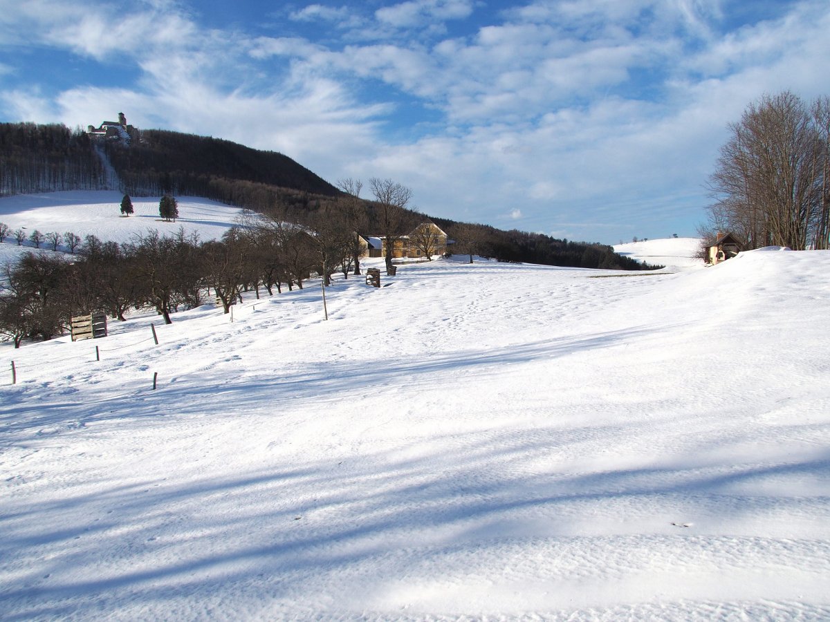 Kaumberg / Niederösterreich