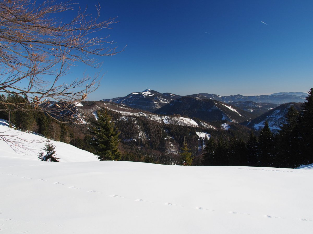Jochart / Rohr im Gebirge / Niederösterreich