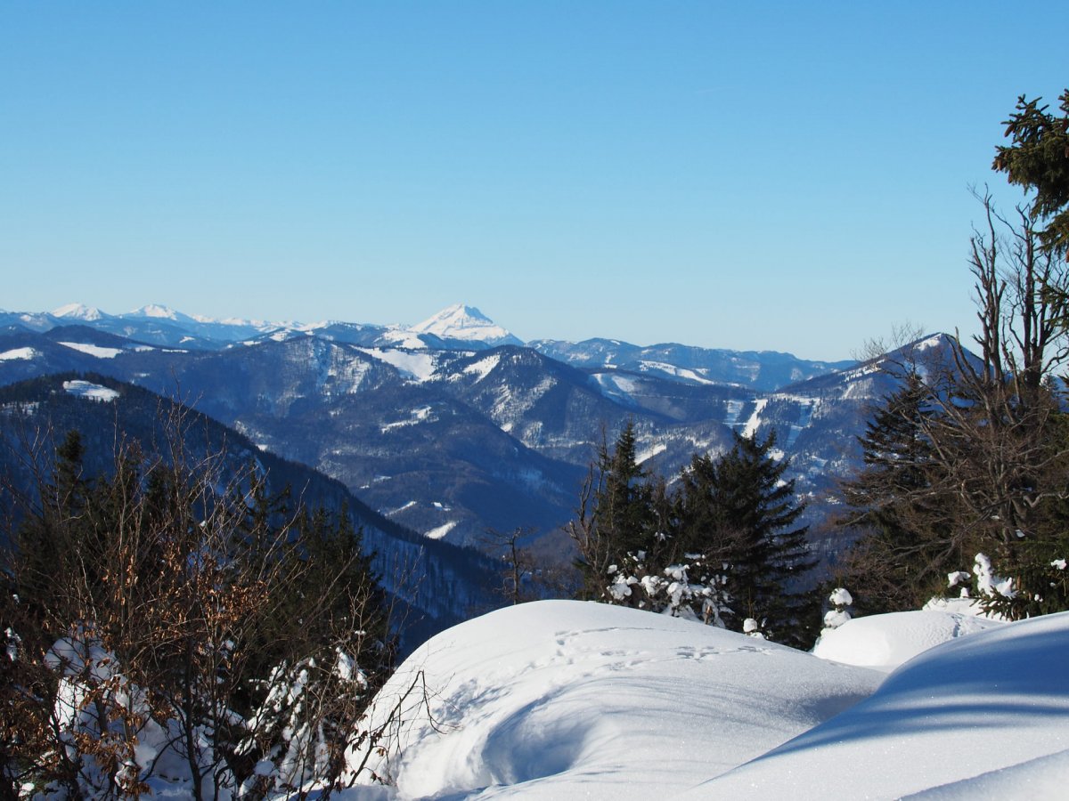 Jochart Gipfel / Rohr im Gebirge / Niederösterreich