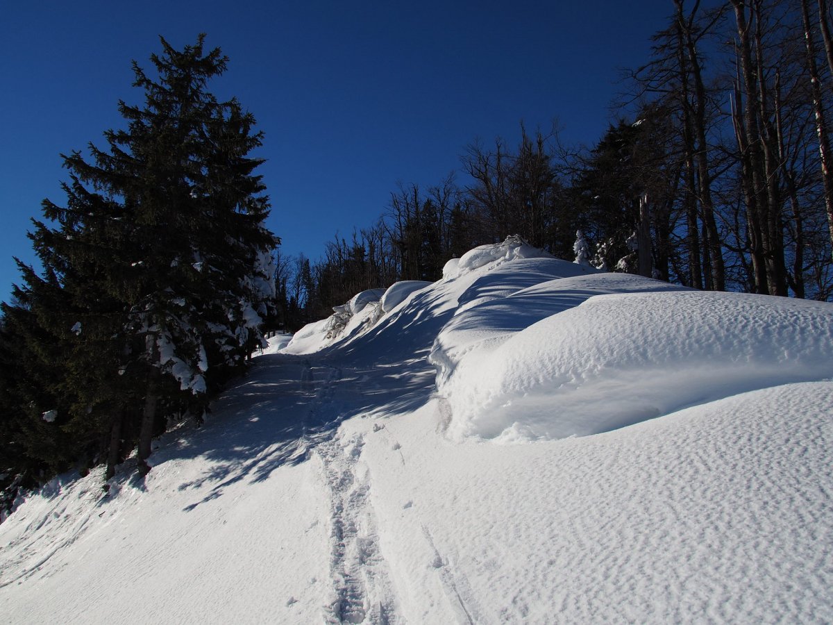Jochart / Rohr im Gebirge / Niederösterreich