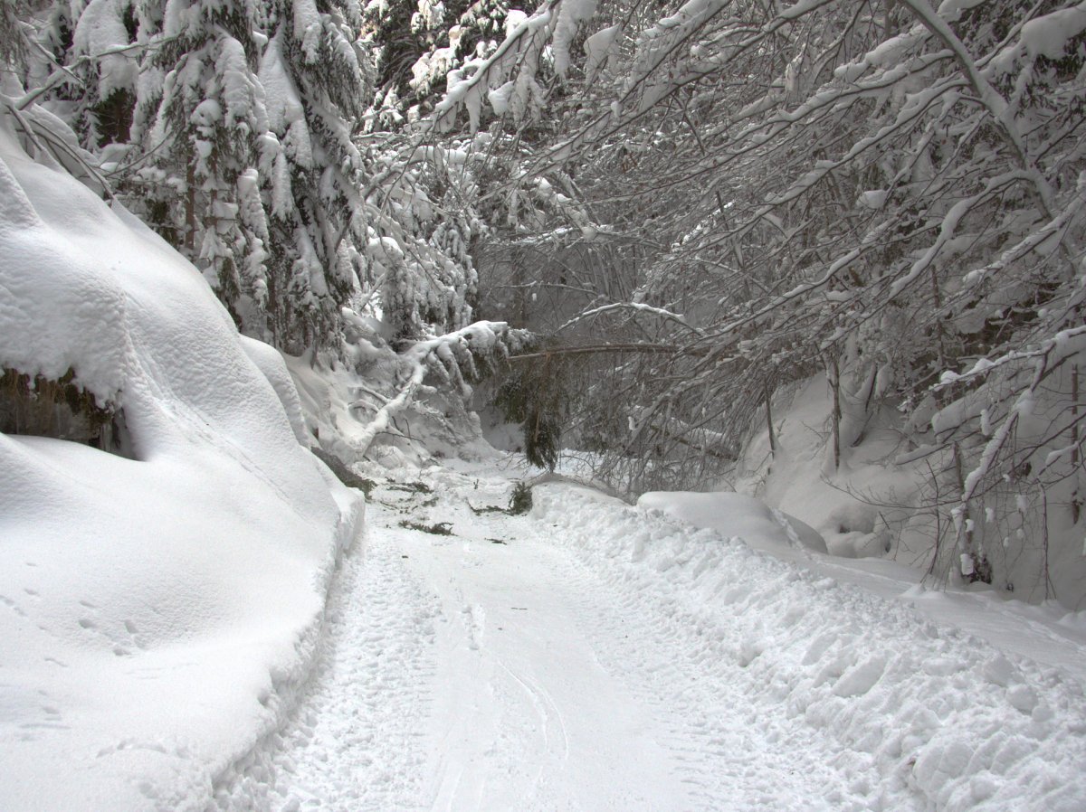In der Öd / Rohr im Gebirge / Niederösterreich