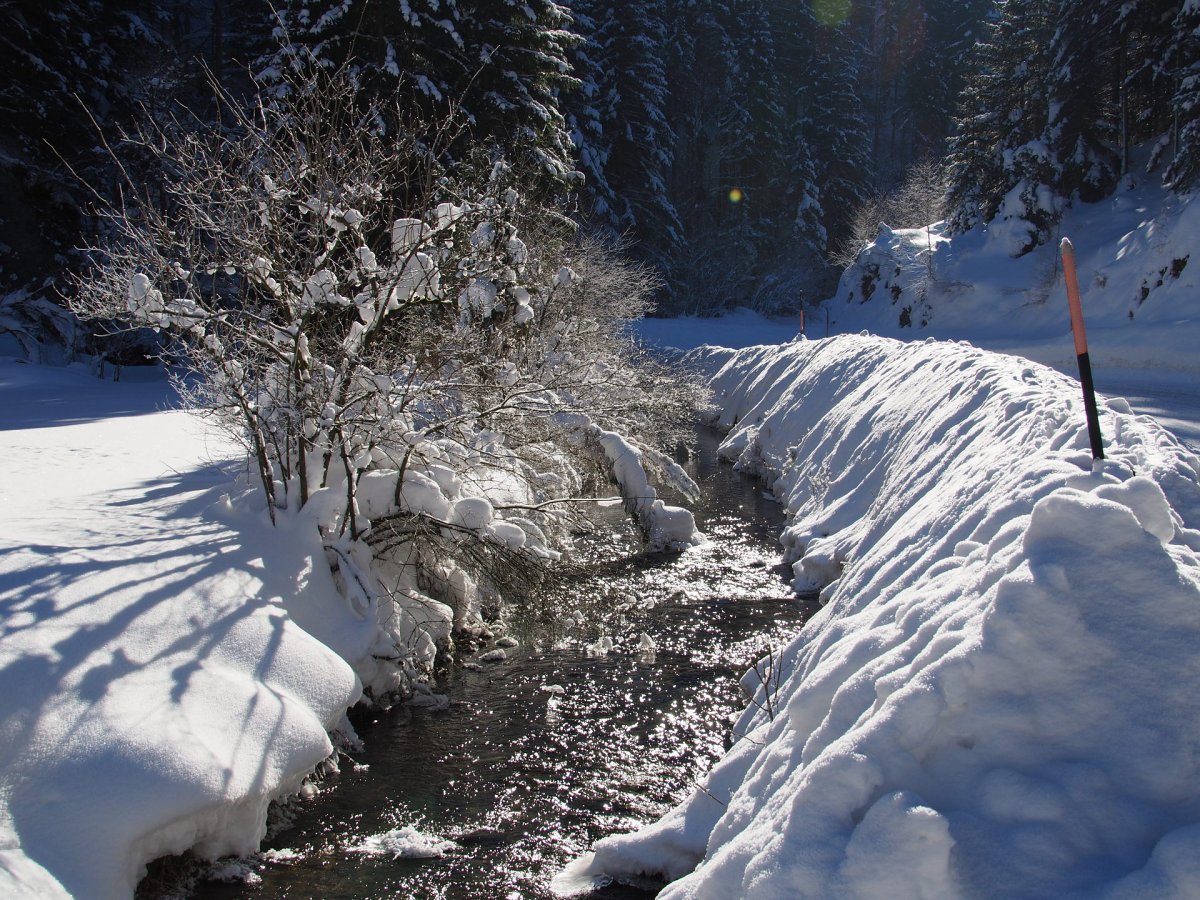 Schacherbauer / Rohr im Gebirge / Niederösterreich