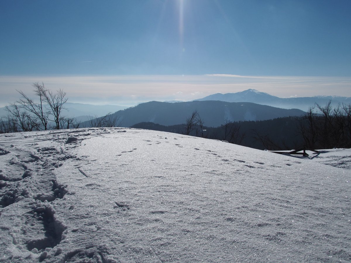 Blick vom Kieneck / Niederösterreich