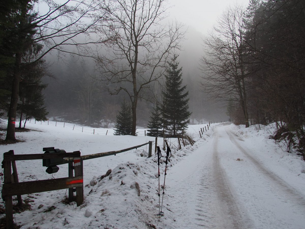 Hausberg / Scheuchenstein / Niederösterreich
