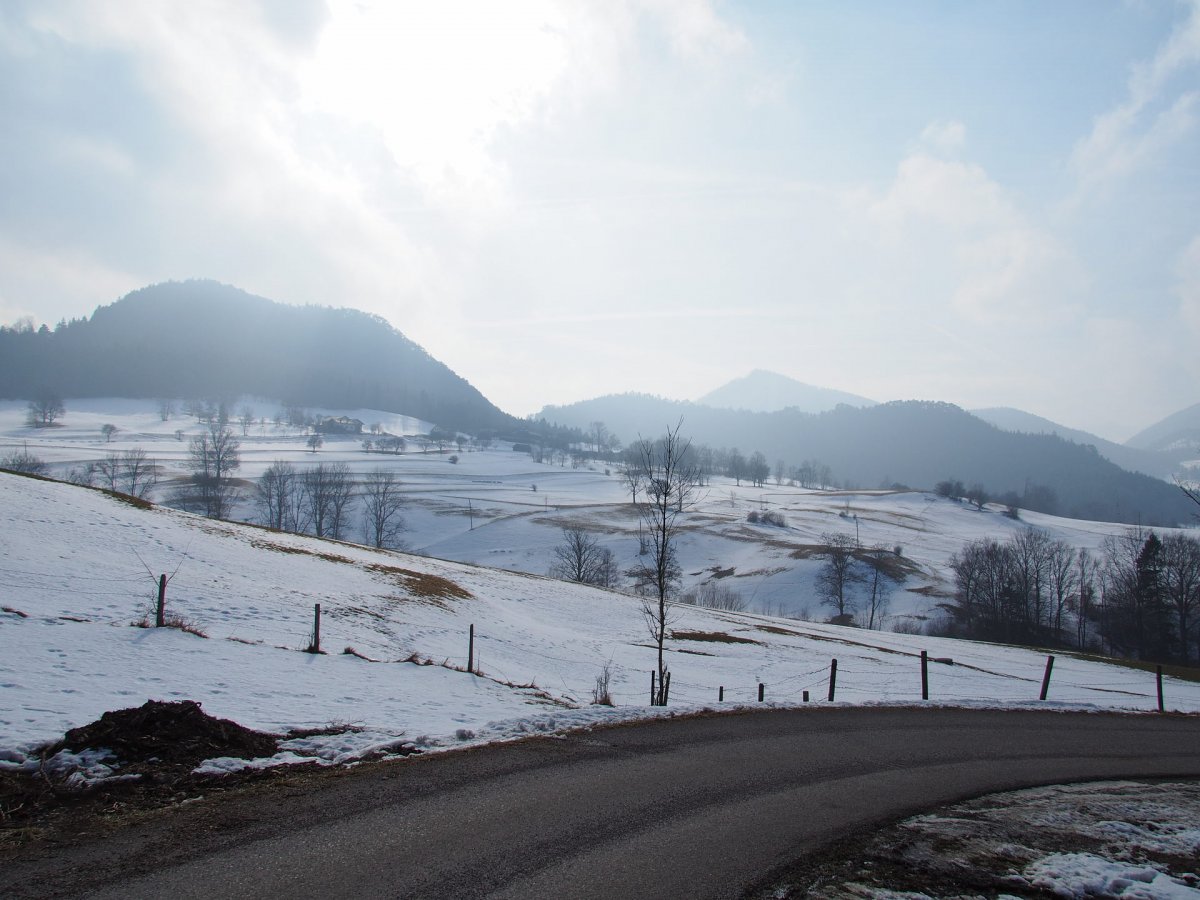 Am Ascher / Miesenbach / Niederösterreich