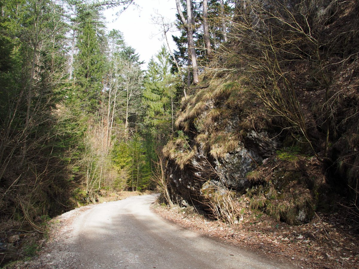 Im Stafftal / Furth / Niederösterreich