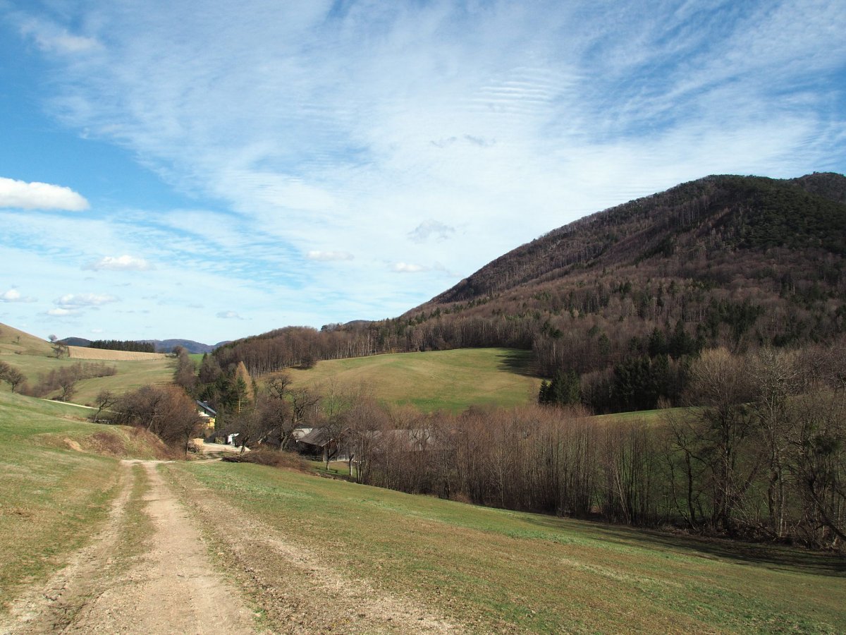 Am Froschweg / Kaumberg / Niederösterreich