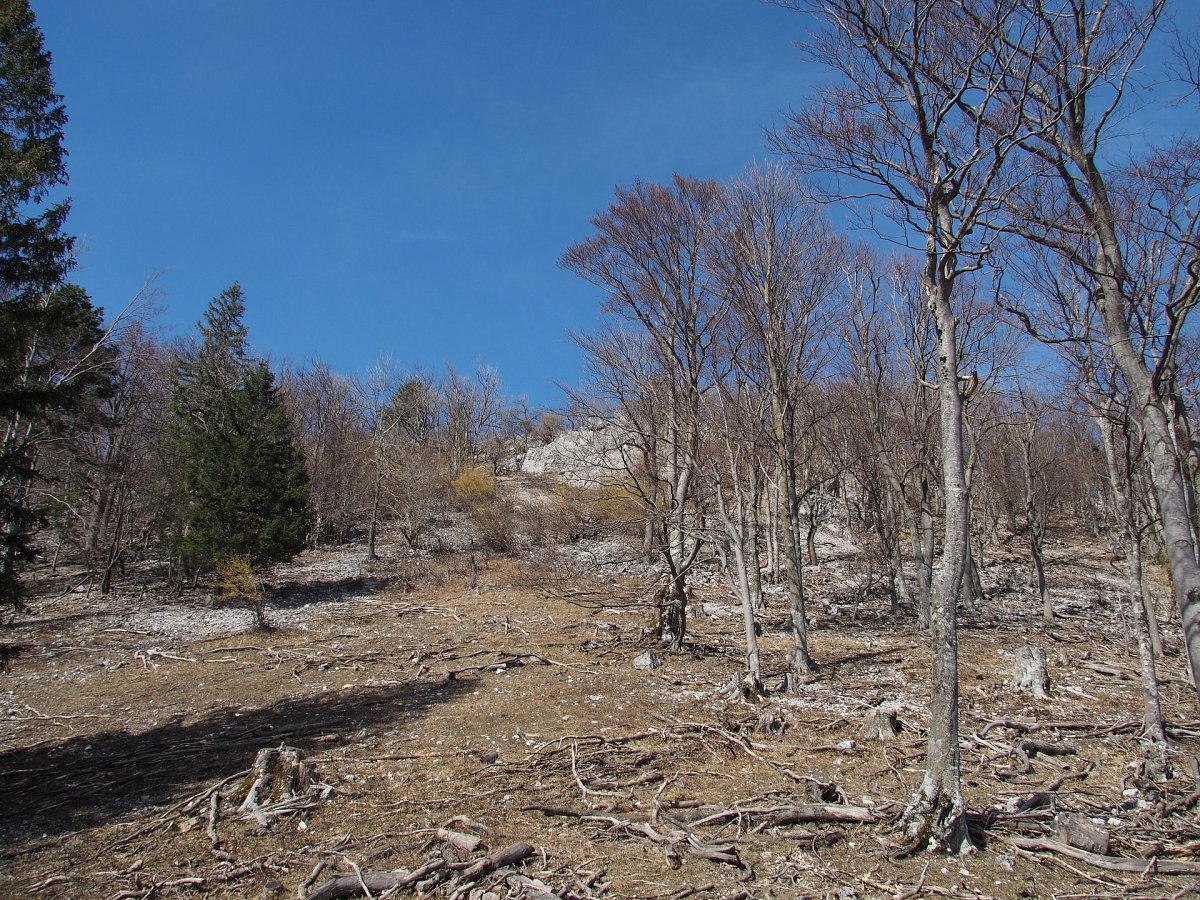 Am Weg zum Gaisstein Gipfel / Niederösterreich