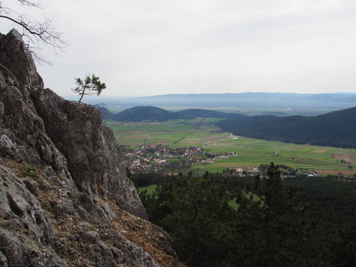 Krumme Ries / Hohe Wand / Niederösterreich