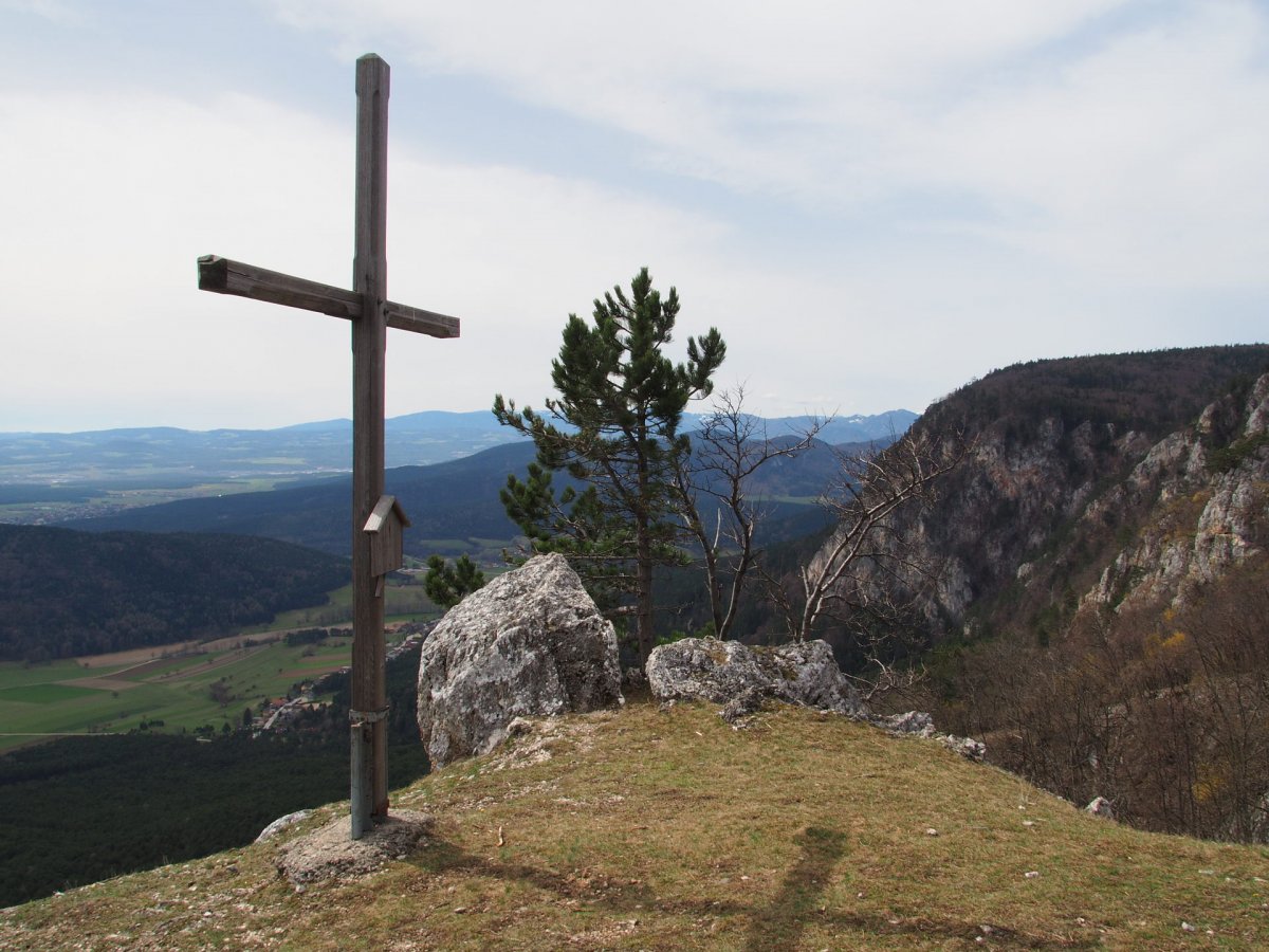 Krumme Ries / Hohe Wand / Niederösterreich