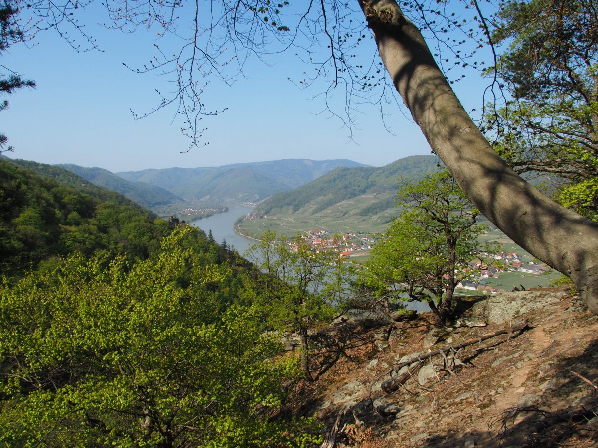 Hirschwand / Niederösterreich