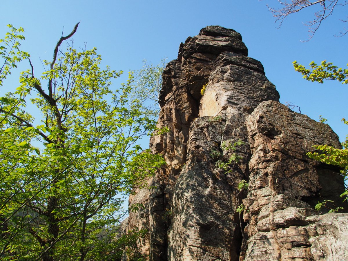 Hirschwand / Niederösterreich
