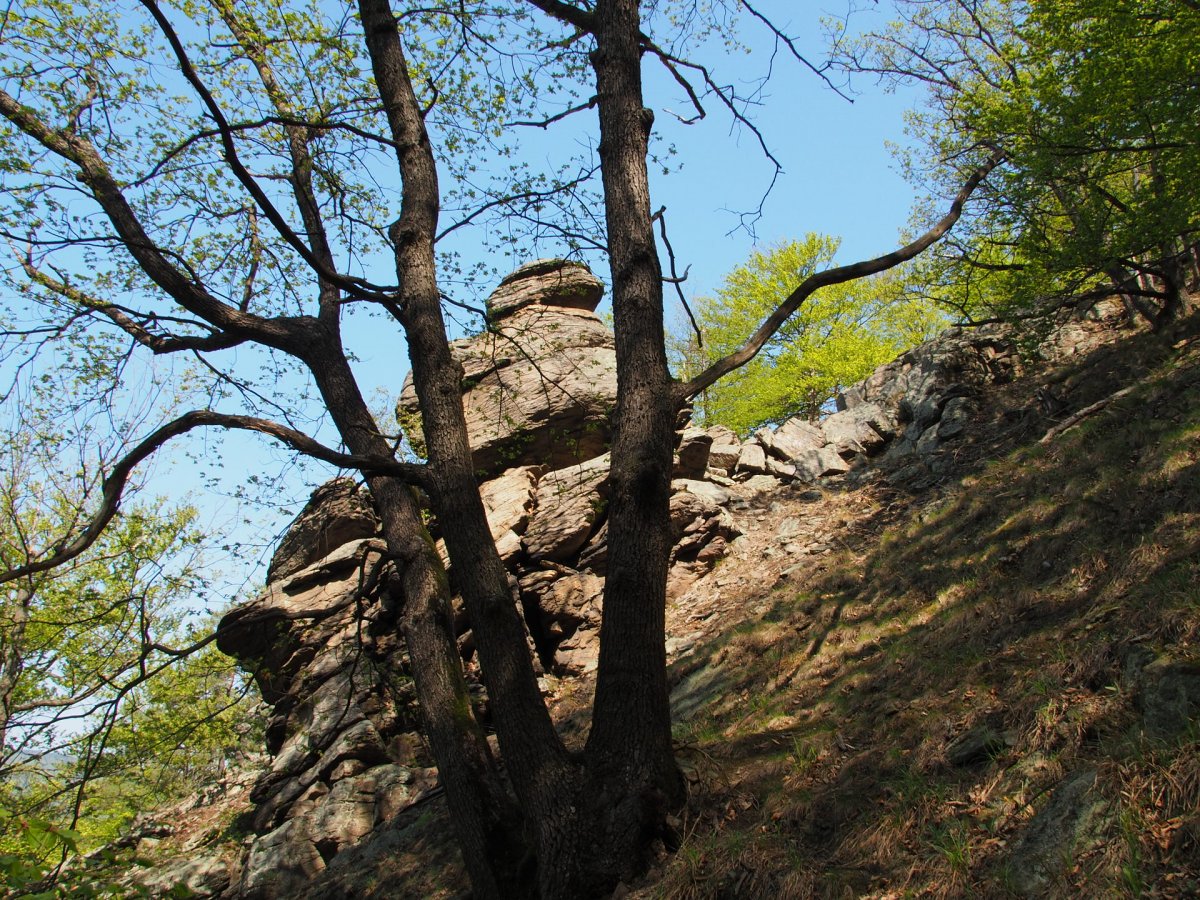 Meurersteig / Seekopf / Niederösterreich