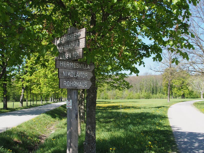 Im Lainzer Tiergarten / Wien