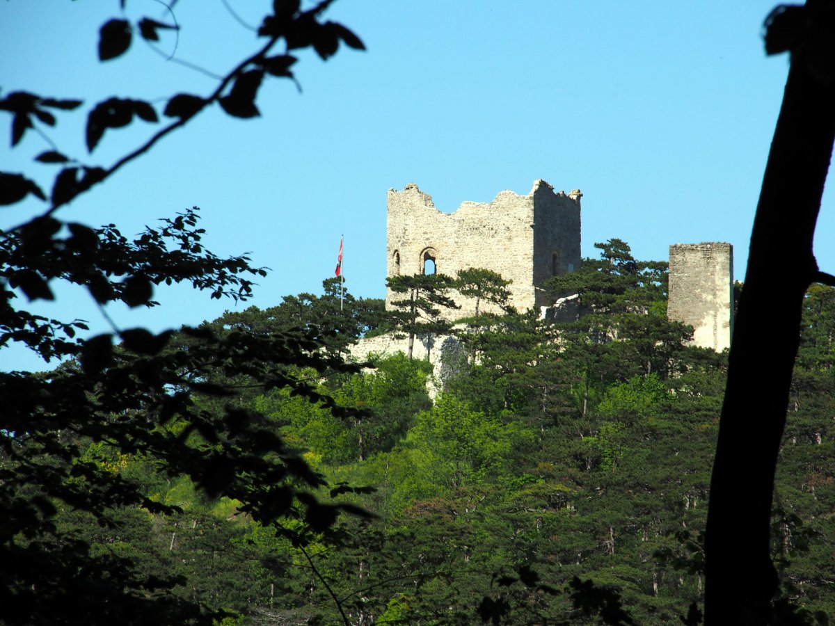 Ruine Mödling / Mödling / Niederösterreich
