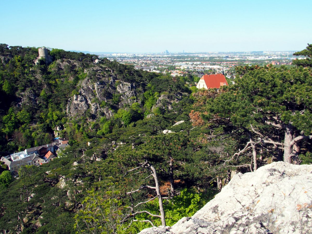 Schwarzer Turm / Mödling / Niederösterreich
