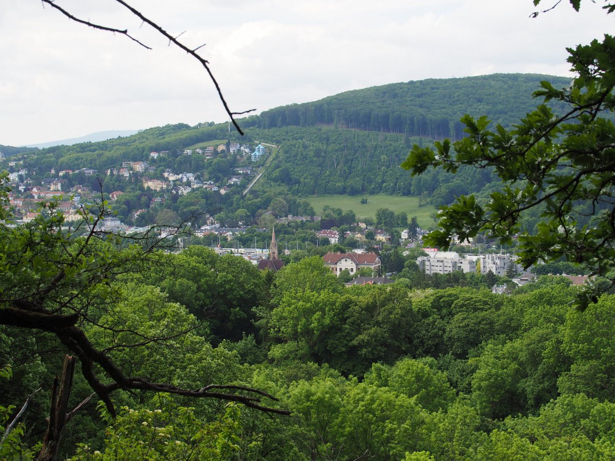Im Paradies / Satzberg / Wien