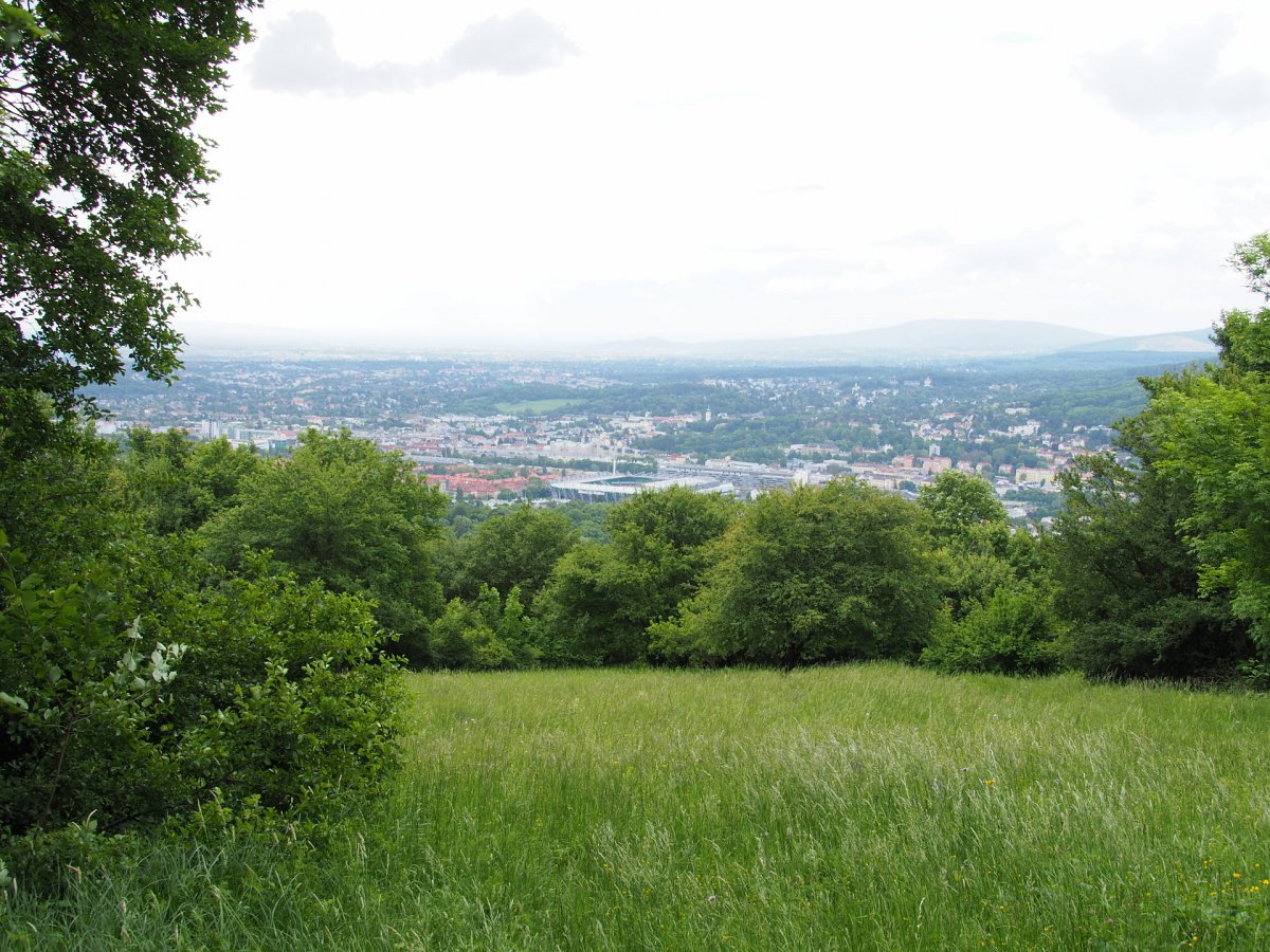 Am Satzberg / Wien