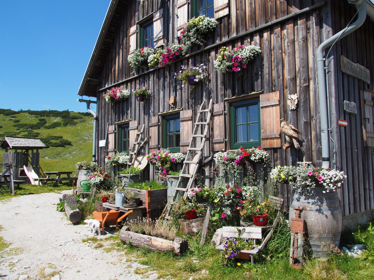 Michelbauer-Hütte / Schneealpe / Steiermark