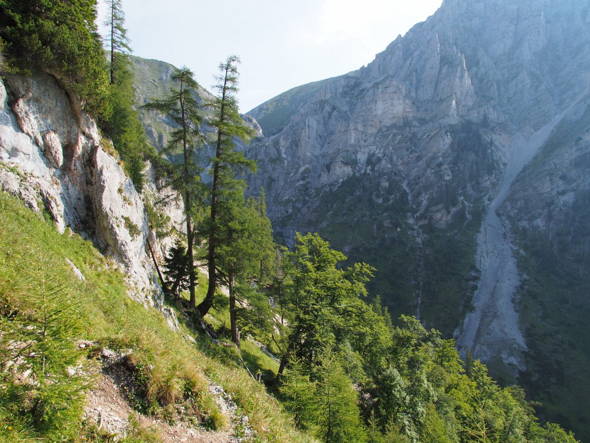 Blarergrabenweg / Schneealpe / Steiermark