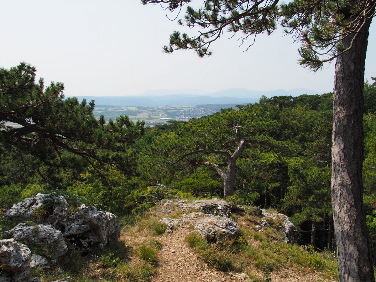 Klettergarten / Harzberg / Niederösterreich