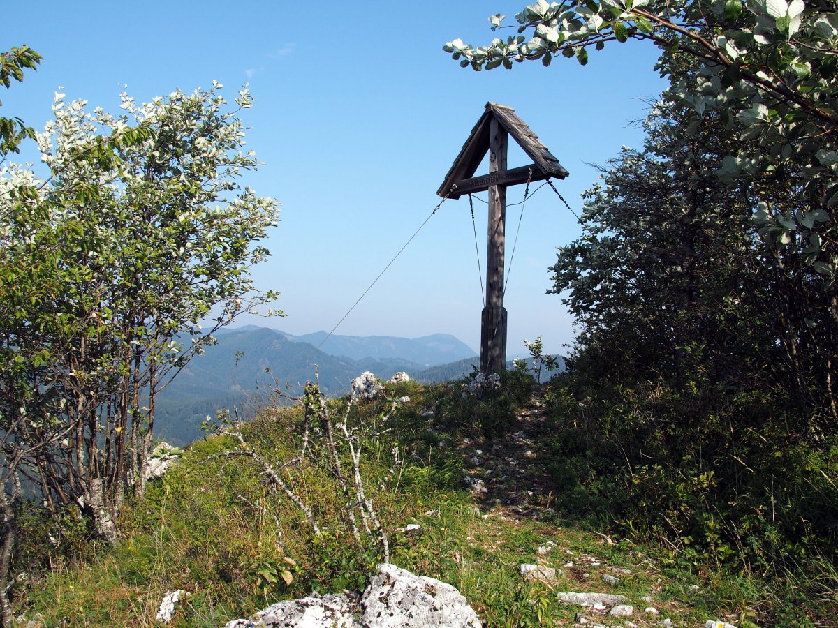 Falkenstein / Schwarzau / Niederösterreich