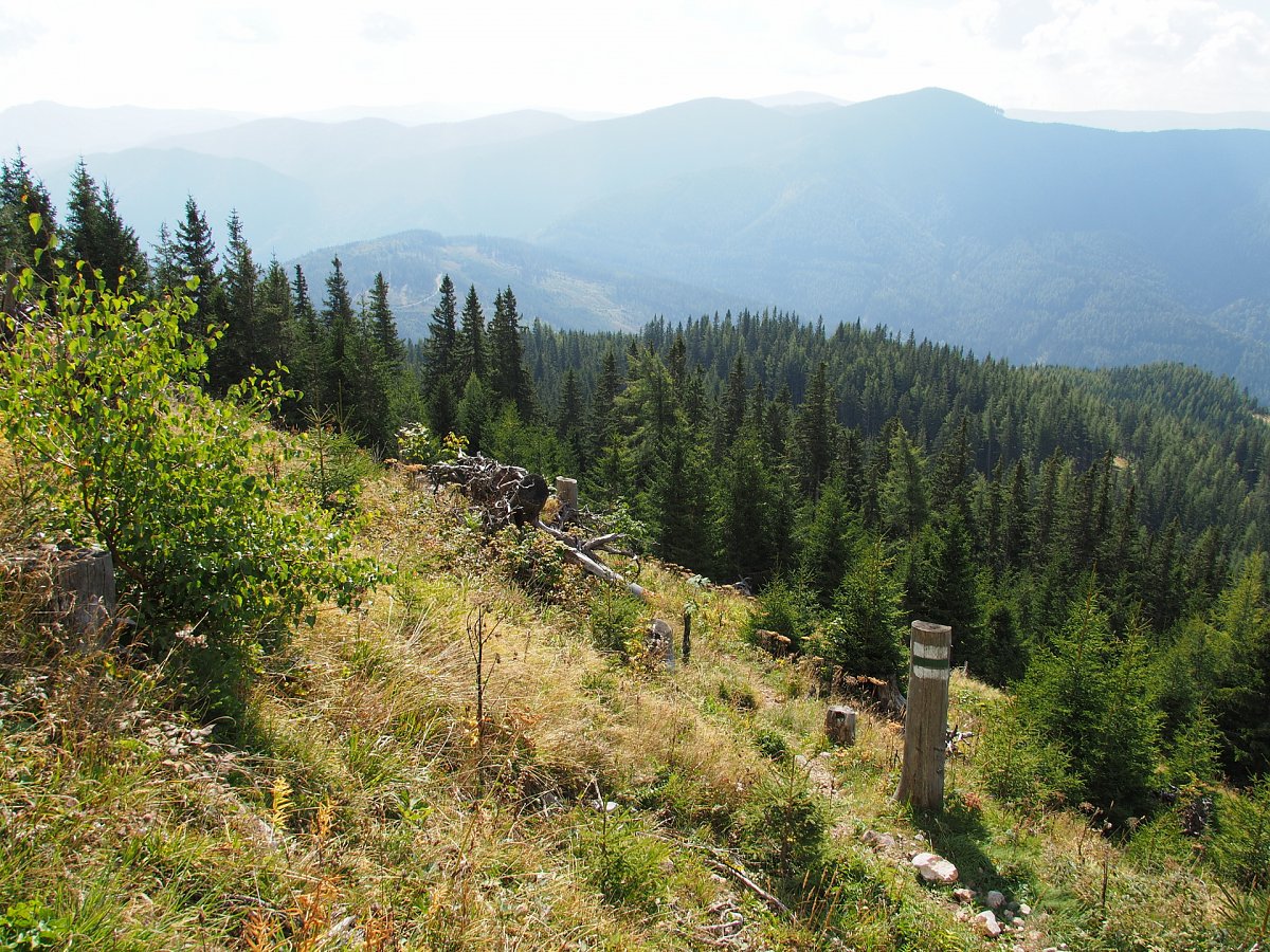 Am Gretchensteig / Rax / Steiermark