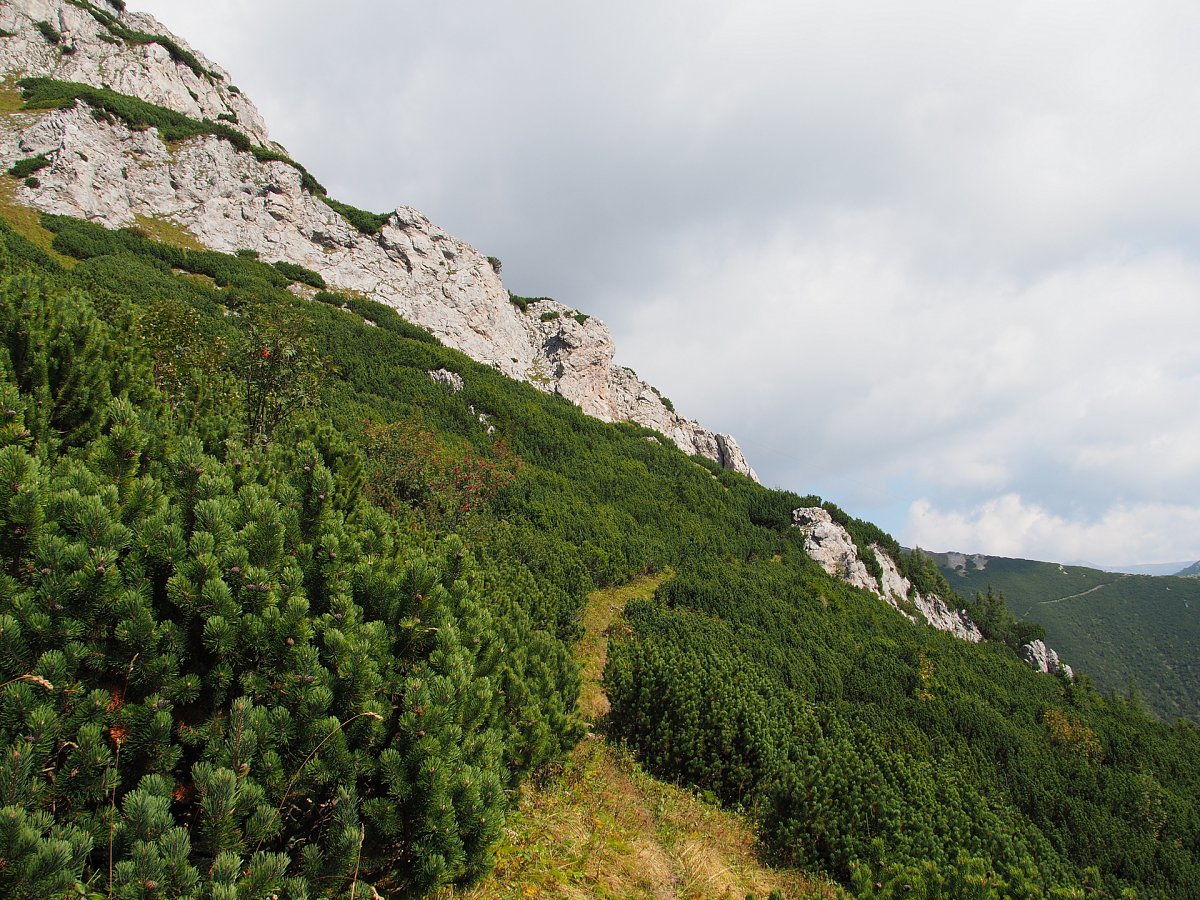 Martinsteig und Raxenmäuer / Rax / Steiermark