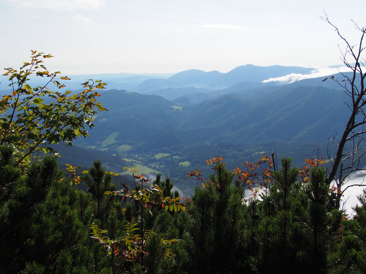 Raxenmäuersteig / Rax / Steiermark