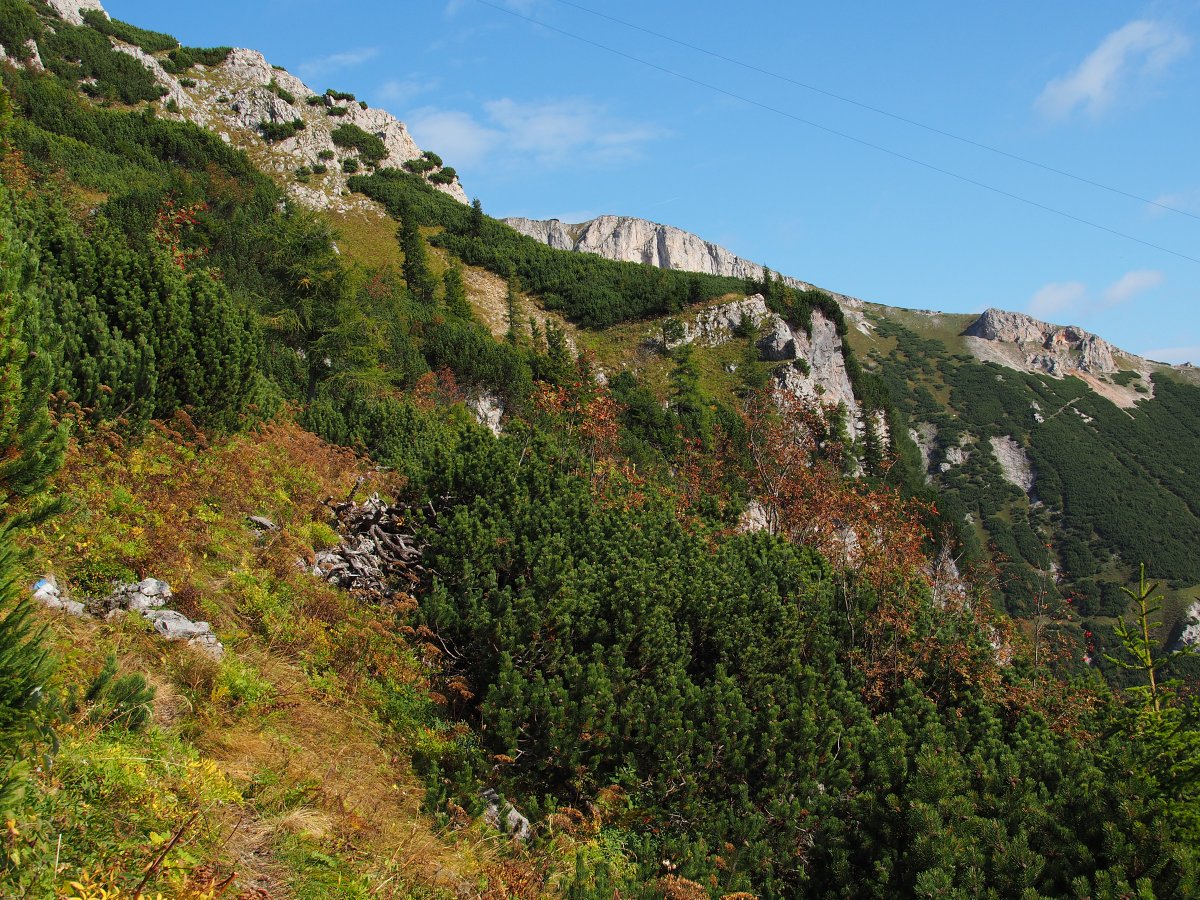 Raxenmäuersteig / Rax / Steiermark